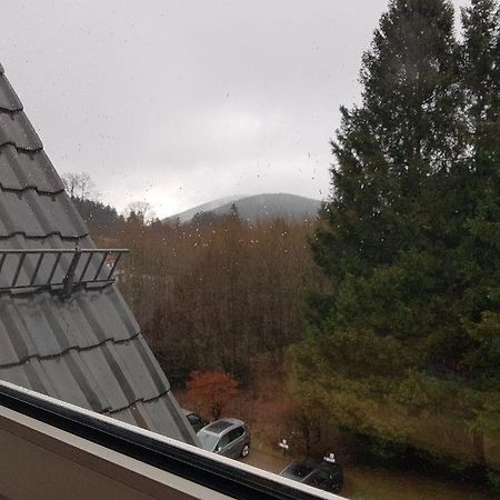 Fewo Allegra Goslar Bagian luar foto