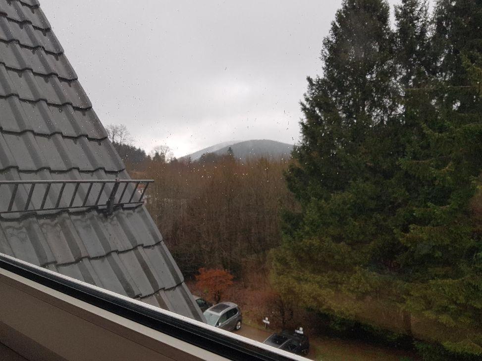 Fewo Allegra Goslar Bagian luar foto